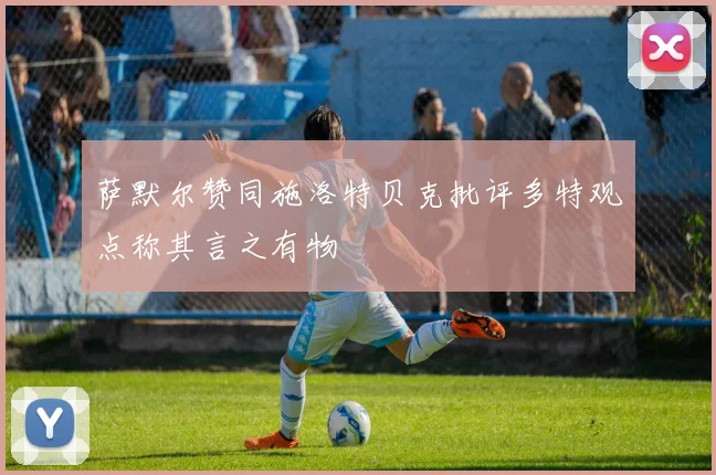 萨默尔赞同施洛特贝克批评多特观点称其言之有物