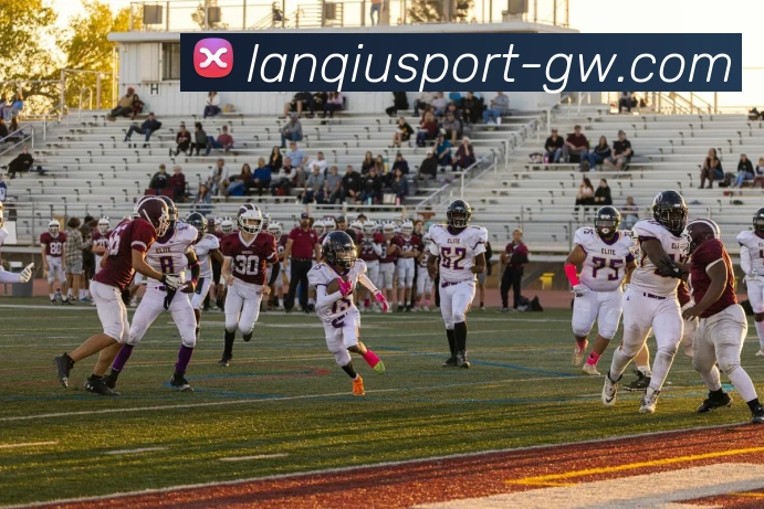 篮球赌注平台生态图